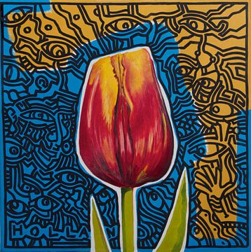 Tulp van Jeroen Quirijns
