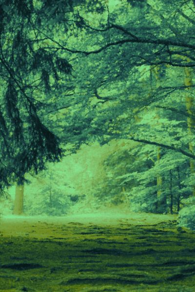 A path in the forest in cold colours by art559