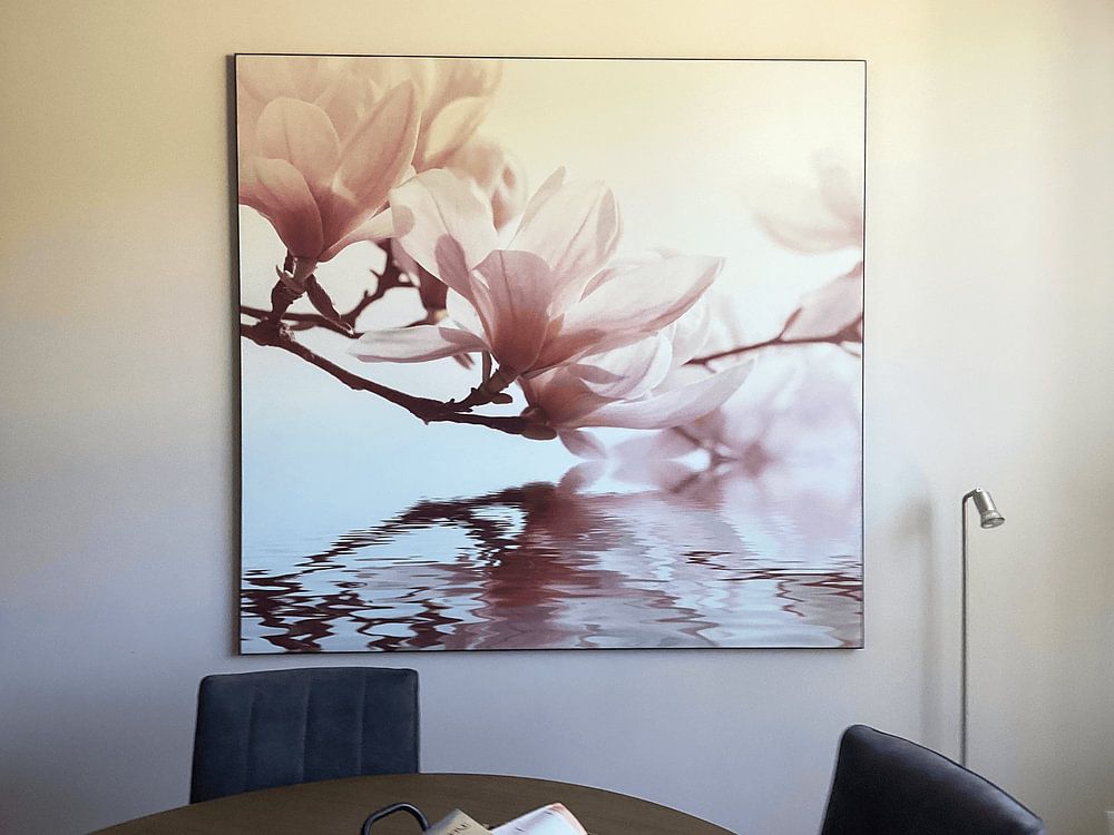 Magnolienblüte von Violetta Honkisz