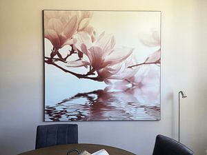 Fleur de magnolia