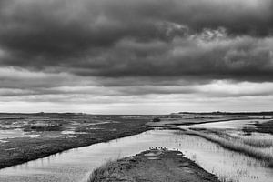 Silver Clouds8