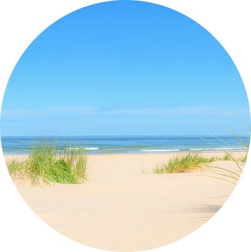 Duinen aan het strand tijdens de zomer