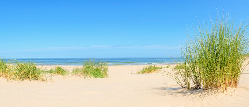 Dunes à la plage pendant l'été par Sjoerd van der Wal Photographie