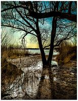 Nederland waterland
