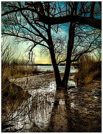 Netherlands waterland by Mariska Asmus