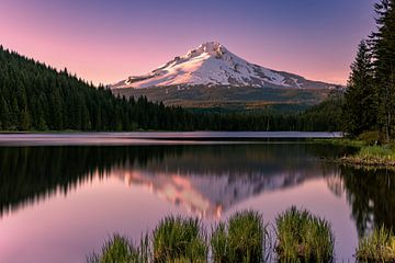 Avondrood bij Mt Hood, Oregon, Verenigde Staten van Adelheid Smitt