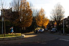 beeld in de herfst van Robert Lotman