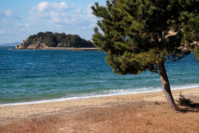 View of the beach on the coast of Naoshima Island, Japan by Lensw0rld