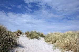 Paysage de dunes sur Ostsee Bilder