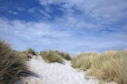Dune landscape by Ostsee Bilder