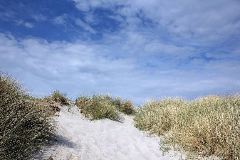Paysage de dunes par Ostsee Bilder