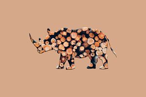 rhinobois2