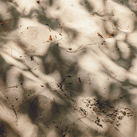 Sable des dunes sur Gonnie van Roij