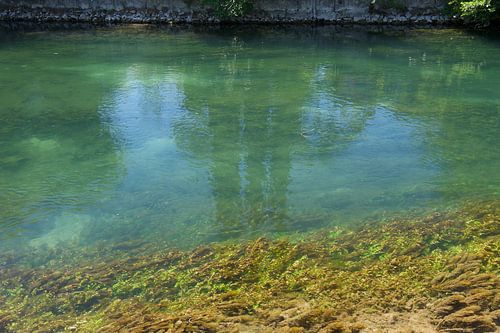 eau claire avec des poissons