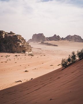 Jordanie | Wadi Rum | Désert sur Sander Spreeuwenberg