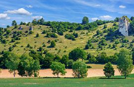 The nature reserve Trockenhänge near Dollnstein by ManfredFotos