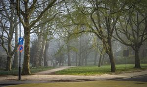 Noorderplantsoen Groningen, Moesstraat, Nieuwe Boteringestraat | Mistige ochtend in het Plantsoen van Hessel de Jong