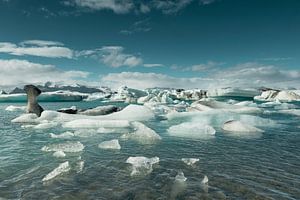 Icebergs floating  in the Jokulsalon glacier lagoon in Iceland