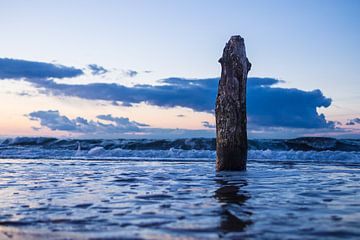 Groynes on the Baltic Sea coast van Rico Ködder