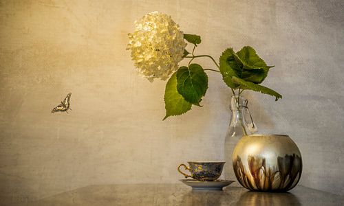 Stilleven met bloem en vlinder.