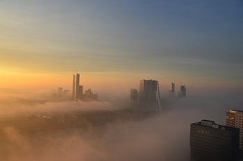 Rotterdam romantisch 