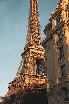 Eiffeltoren van Willem Rog
