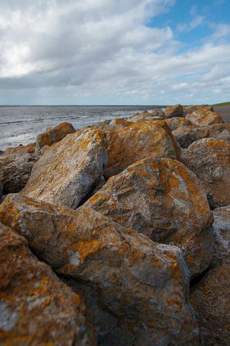 Schiermonnikoog - The Wadden Sea Dike