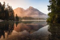 Stralende mist