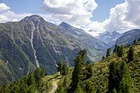Mountain Landscape