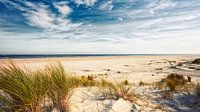 Ameland Strand Aussicht