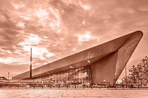 Hauptbahnhof Rotterdam - monochrom