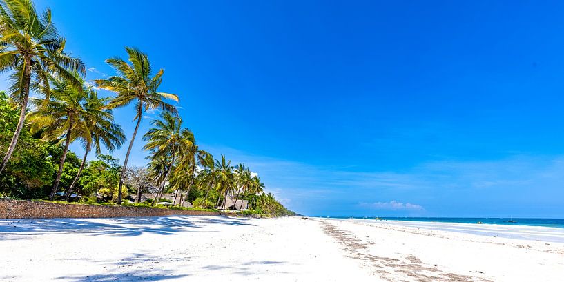 Tropical white beach with azure sea and blue sky and palm trees by Steven World Traveller