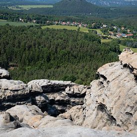 Sandstone cliffs, woodland and Lilienstein mountain by Adriana Müller