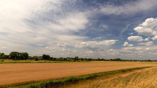 Hollandse wolkenlucht boven een akker
