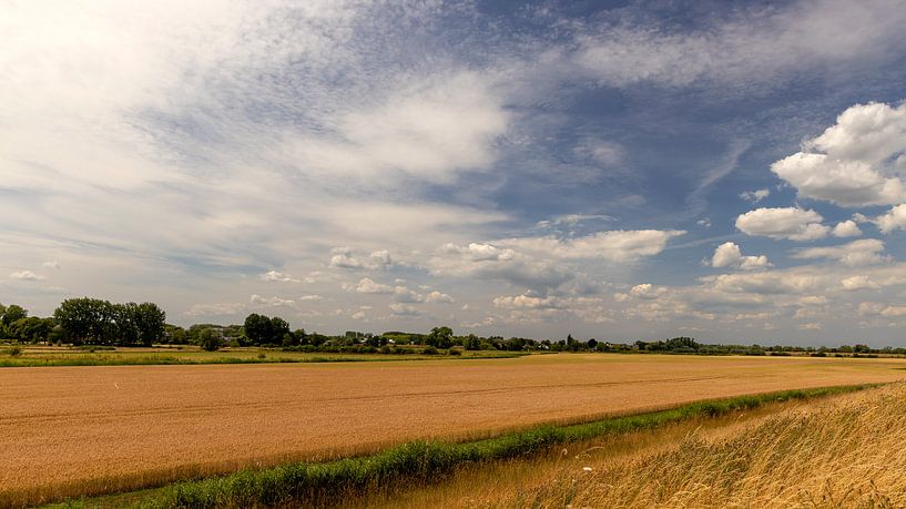 Niederländische Wolkenlandschaft über einem Feld von Corrie Ruijer