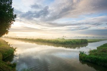 Malerische niederländische Polder-Landschaft