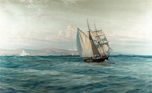 Joan Llaverias~art-img spp. Marina del 115-08-25