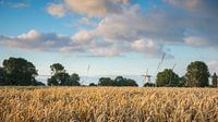 Hollands plaatje met molen in Veere, Zeeland van Fotografiecor .nl thumbnail