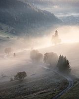 Slowakische Landstraße im Nebel