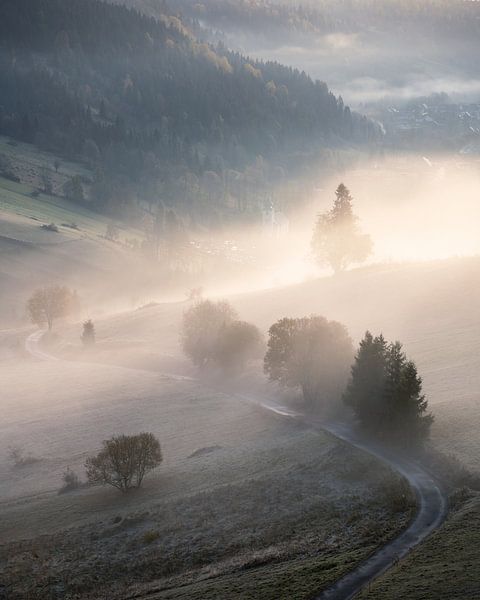 Slovak country road in the fog by Stephan Ihrman