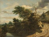 Zandweg in de duinen, Jacob Isaacksz. van Ruisdael van Meesterlijcke Meesters thumbnail