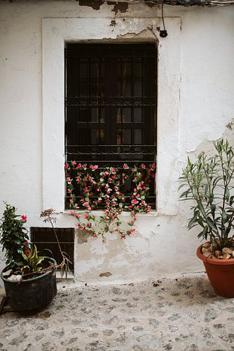 Behind the white plasterwork by Marianne Bal