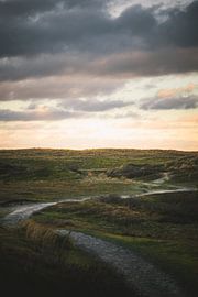 Walk through the dunes