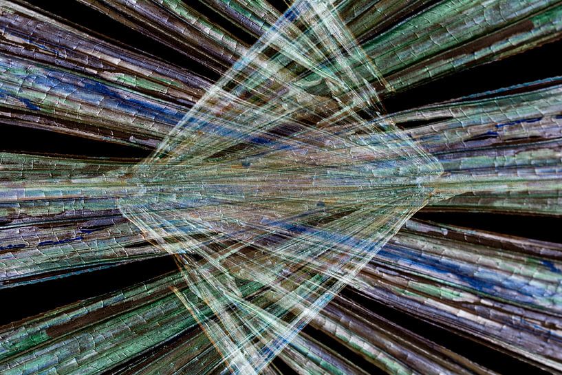 Abstract kunstwerk van gekleurde lijnen op zwart van Lisette Rijkers