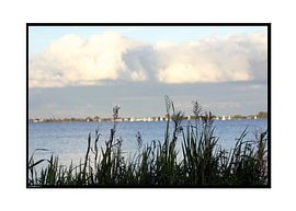 Het Licht van Kaag en Braassem