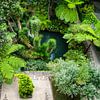 Botanische tuin van Madeira van Leo Schindzielorz