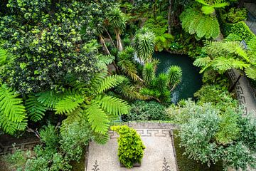 Botanische tuin van Madeira van Leo Schindzielorz