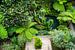 Botanischer Garten auf Madeira von Leo Schindzielorz