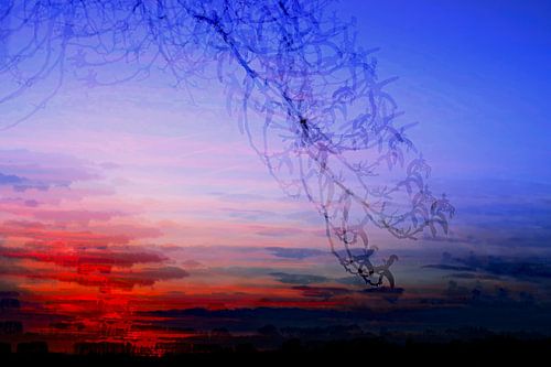 Zwischen Blüten und Abendrot