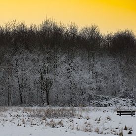 The Bench by Truckpowerr